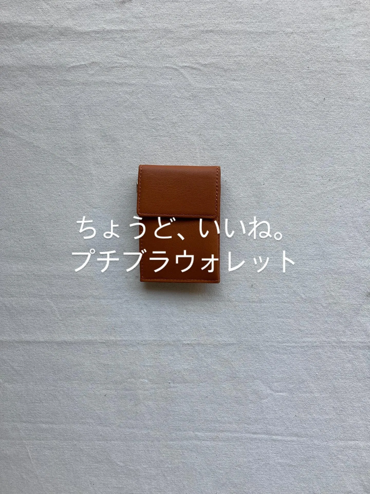 カードサイズ大でちょっとしたお出かけにちょうどいいコンパクト...