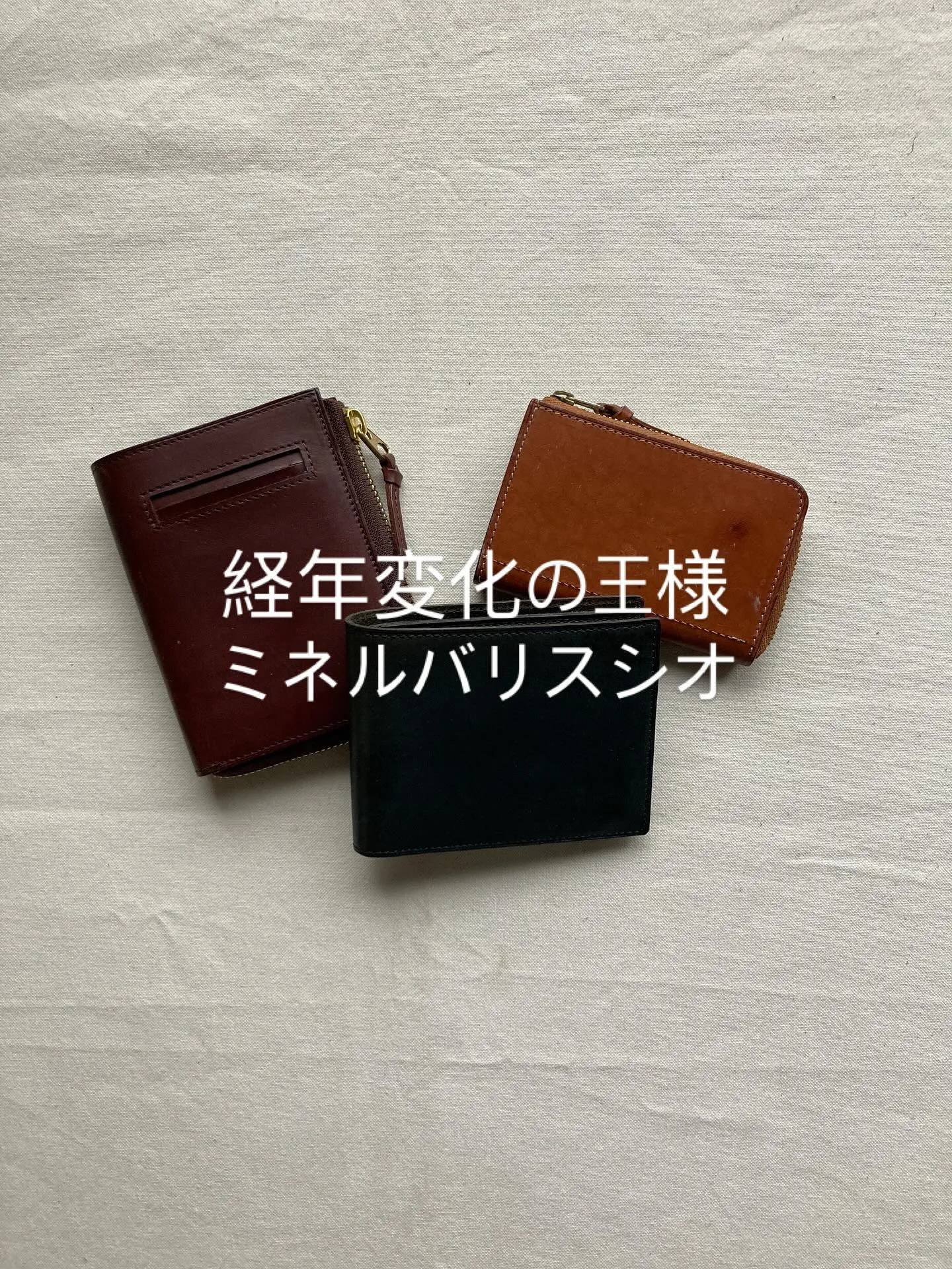 イタリアンタンナーのカルロ・バタラッシ社のミネルバリスシオを...