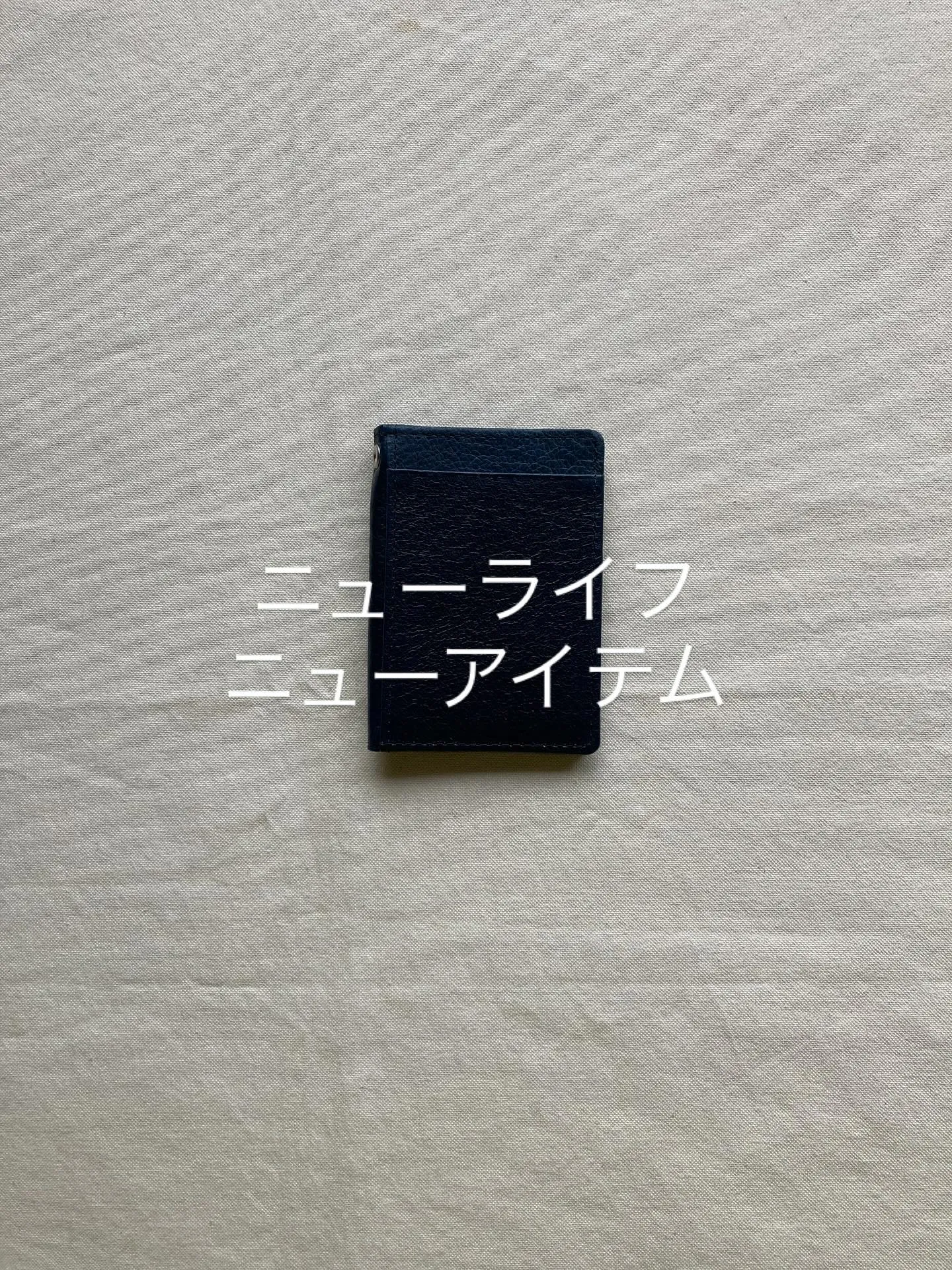 新生活に向けてパスケースを新しいものにしてみる。